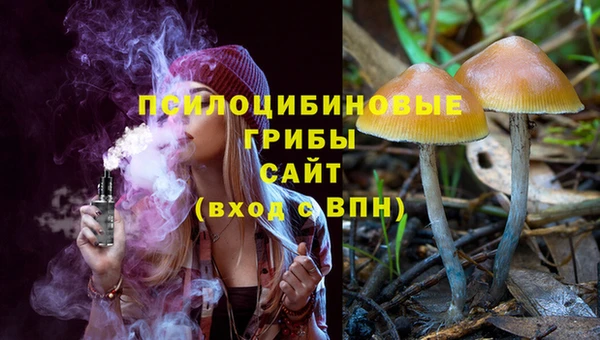 MDMA Premium VHQ Каменка