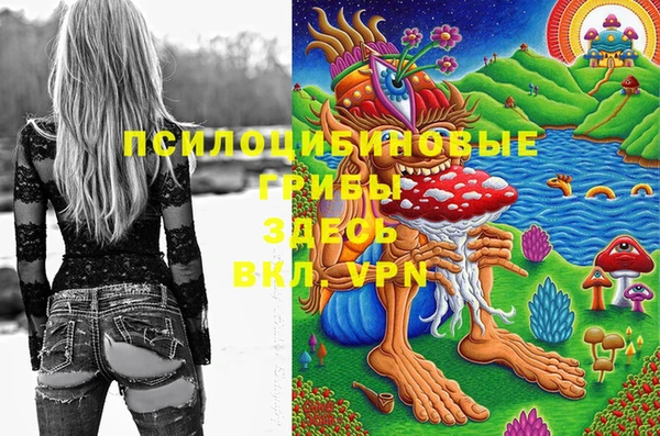 MDMA Premium VHQ Каменка